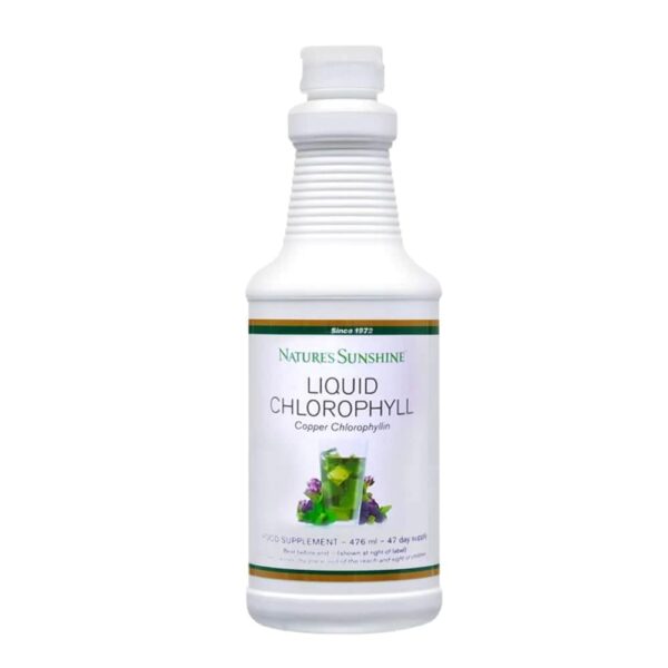 Liquid Chlorophyll with Natural Spearmint oil (476 ml) - Image 2
